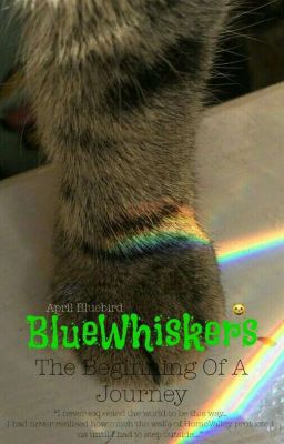 BlueWhiskers; The Beginning Of A Journey |✔ [A Cat Story \ A Cat Book] 