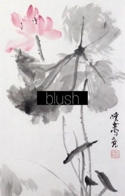 blush  [ moonbae ]