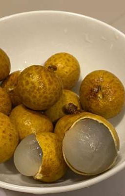 bmas | longan.