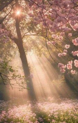 bmas | mùa hạ năm đó tôi nhận ra..