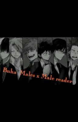 Bnha Males x Male reader /REQUESTS OPEN/