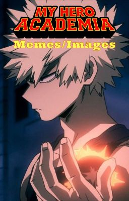 BNHA/MHA Memes/Images