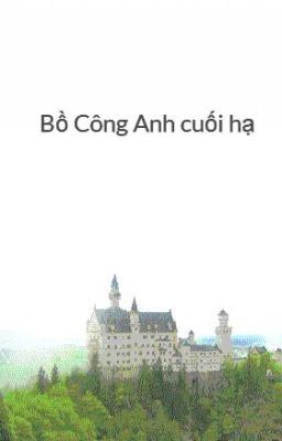 Bồ Công Anh cuối hạ