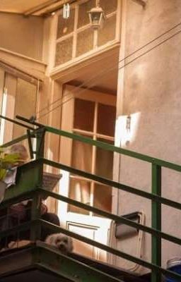 [Boboiboy x Reader] Về nhà.