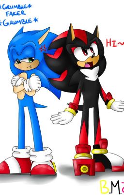 Body switched!-Sonadow