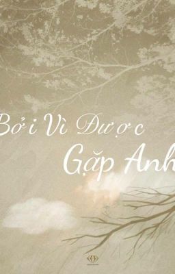 Bởi vì được gặp anh