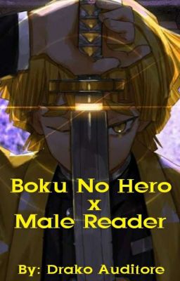 Boku No Hero x Male Reader