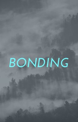 Bonding (A:tLA Fanfic)