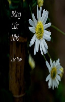 Bông Cúc Nhỏ (Little Daisy/ Tiểu Sồ Cúc) - Lạc Tâm