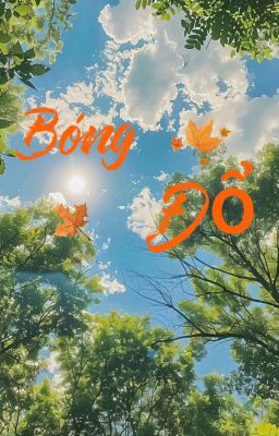 Bóng Đổ