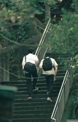 BÓNG HÌNH THUỞ THIẾU NIÊN