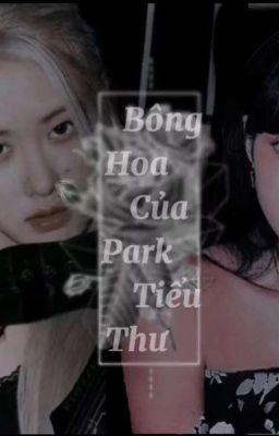 Bông Hoa Của Park Tiểu Thư[Chaelisa]