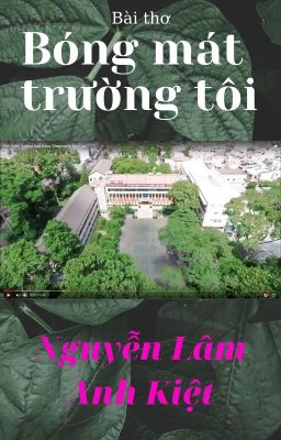 BÓNG MÁT TRƯỜNG TÔI | The Cool Atmosphere of My School