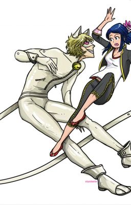 [Book 1] Chat Blanc x Marinette [COMPLETE]