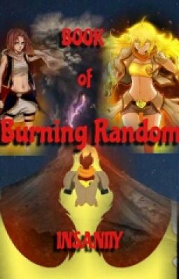 Book of Burning Random Insanity