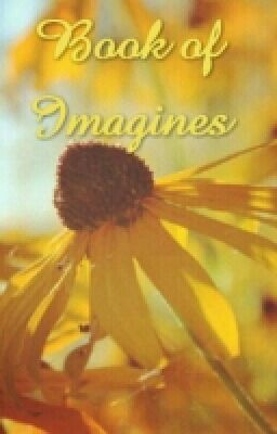 Book of Imagines