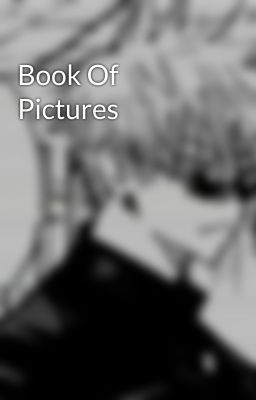 Book Of Pictures 