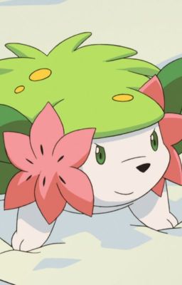 Book Of Shaymin