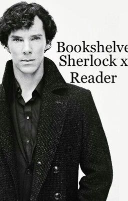 Bookshelves (Sherlock x Reader)