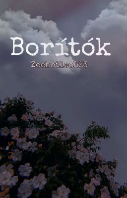 Borítók/nyitva