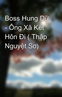 Boss Hung Dữ - Ông Xã Kết Hôn Đi ( Thập Nguyệt Sơ)