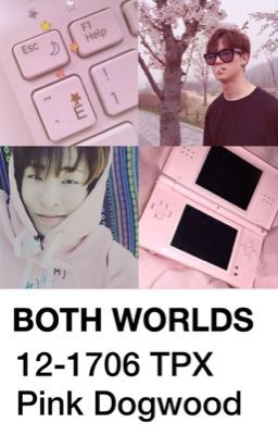 both worlds | 2jae 