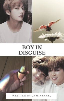 boy in disguise • vmin •