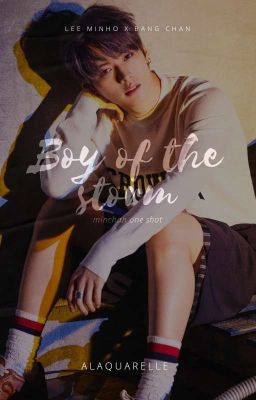 Boy of the Storm | minchan