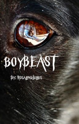 BoyBeast