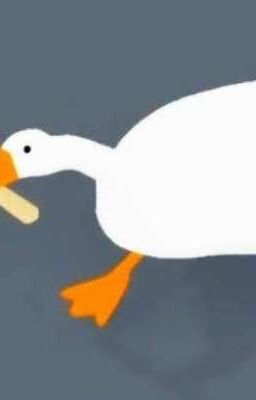 [BQVN/TSN] Một ngày làm ngỗng của NHS