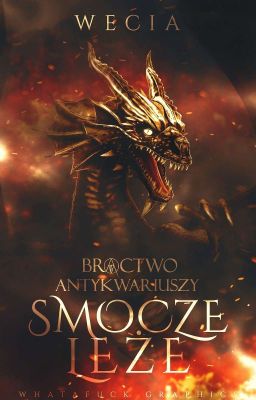 BRACTWO ANTYKWARIUSZY ◐ tom 1 smocze leże