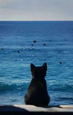 braygav | this's a little secret