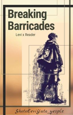 Breaking Barricades (Levi x Reader)