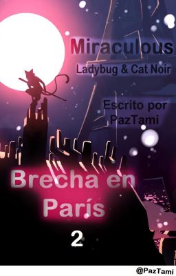 Brecha en París 2 (Miraculous Ladybug)