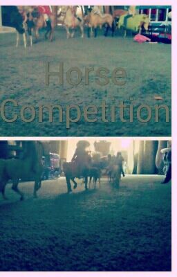 Breyer Horse And Schleich Horse Competition