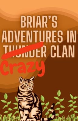 Briar's Adventures In Crazyclan