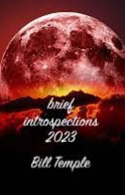 brief introspections 2023