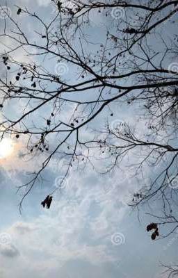 ★BROKEN IN PICES OF LOVE★