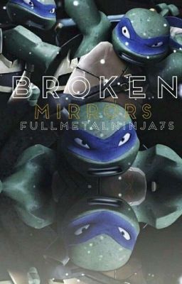 Broken mirrors   Bk2 of Fallen leader (tmnt fan fic