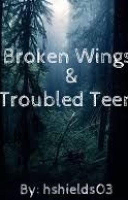 Broken Wings and Troubled Teens