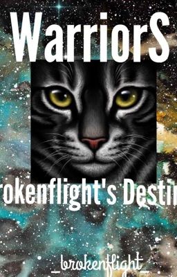 Brokenflight's Destiny