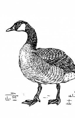 BRUCE, THE GOOSE : NONSENSE TEMPOEM