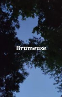 Brumeuse