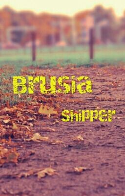 Brusia Shipper