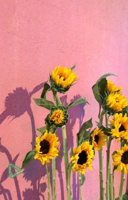 [ bts | namjin ] xem mắt