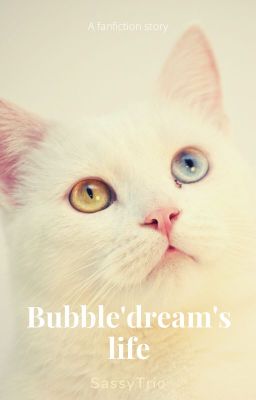 Bubble'Dream's life