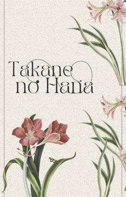 [Bùi Công Nam x Duy Khánh] Takane no Hana