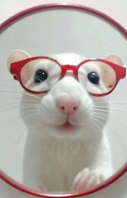 bùi duy ngọc × khôi vũ | like that.