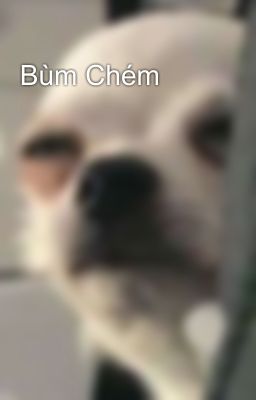 Bùm Chém