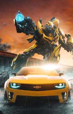 Bumblebee en vacaciones en hot wheels y rocket risig